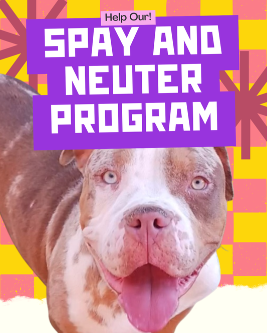 Spay and Neuter Program