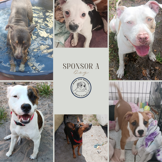 Sponsor a WAGS Dog