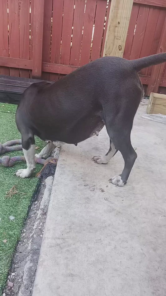 Sabrina Medical Care for Her and Babies